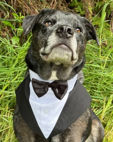 Marlea rose — UGC Creator on Pitchlo