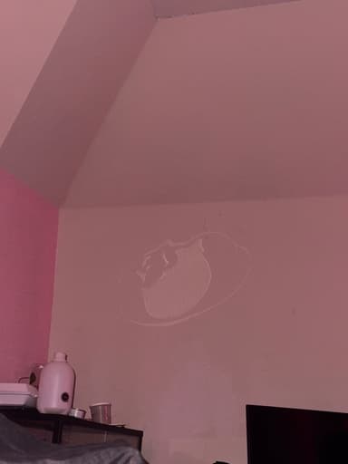 Morgan Gardner — UGC Creator on Pitchlo